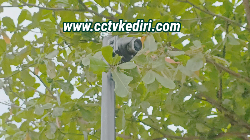 <p>Kamera CCTV kini sangat lah penting bagi semua orang terutama Lokasi yang dimana sering sekali kerap di kunjungi oleh orang-orang dengan begitu lokasi umum tersebut wajib sekali diberikan keamanan agar di setiap situasi yang terjadi bisa terekam oleh kamara pengawas karena hasil rekaman tersebut tidak dapat direkayasa oleh tangan manusia.</p>